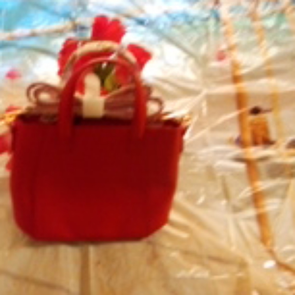 Handbag ladies Estee Lauder